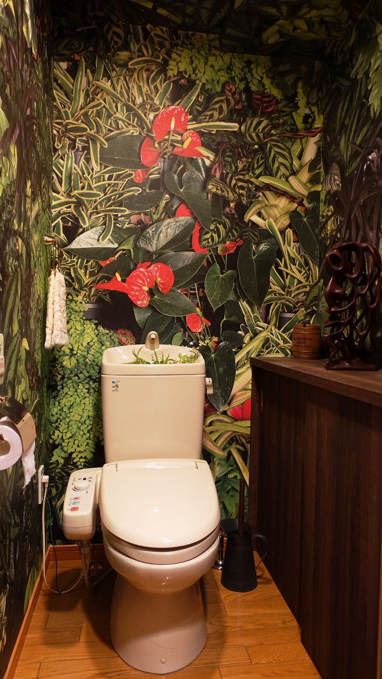 変だけど居心地の良いトイレ リフォーム費を節約してジャングルトイレに Jangle Toilet Change The Interior Of The Toilet To A Completely Different Image スイス人 レネの日本暮らし Renejapan Com